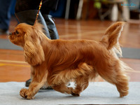 KBP26798