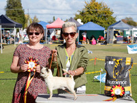 Best in Show