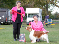 Gundogs