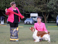 Best in Show