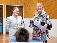 Best in Show One