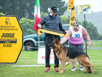 Best In Show