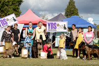 YDS