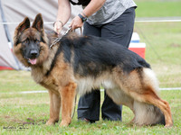 KBP29719