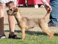 KB017509