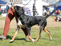 KB017566