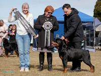 Best in Show
