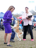 Rotorua Kennel Association