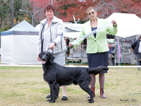 KBP21399