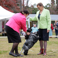 KBP21427