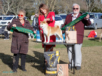 KB019614