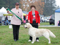 Gundogs