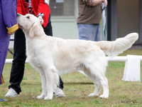 KBP22864