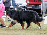 KBP22887