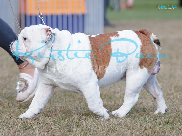 KB019294