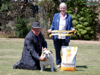 Wellington Bulldog Club