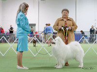 KBP25138