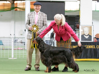 Best in Show