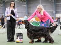 Gundogs