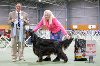 Best in Show
