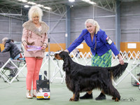 Gundogs
