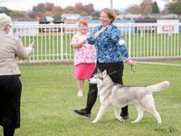 Napier Kennel Centre