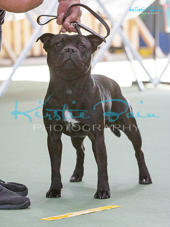 KB013680