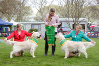Central Golden Retriever Club