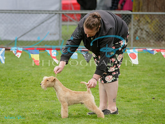 KB011154