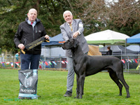 Best in Show