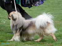 KB011539