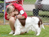 Wellington Kennel Centre