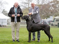 Best in Show