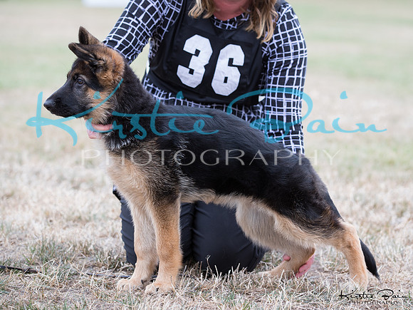 KBP13745