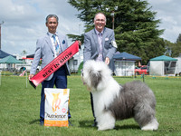 Waikato Working Dog Association