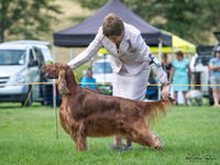 Tokoroa Canine Association