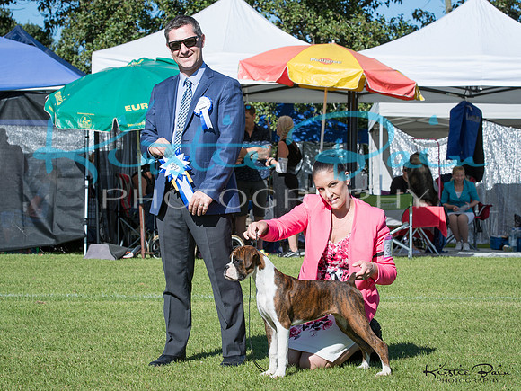 KBP10322