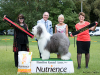 Best in Show