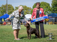 Best in Show