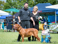 Best in Show