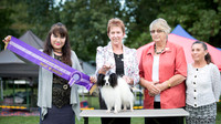 Best in Show