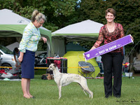 Best in Show