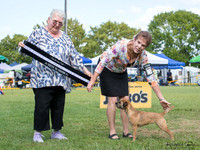 Best in Show