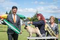 Best in Show