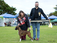 Best in Show