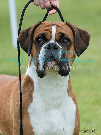 KBP16049