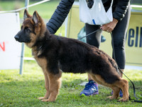 KBP17679