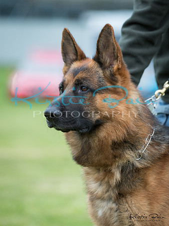 KBP18287