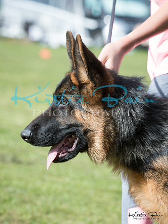 KBP17957
