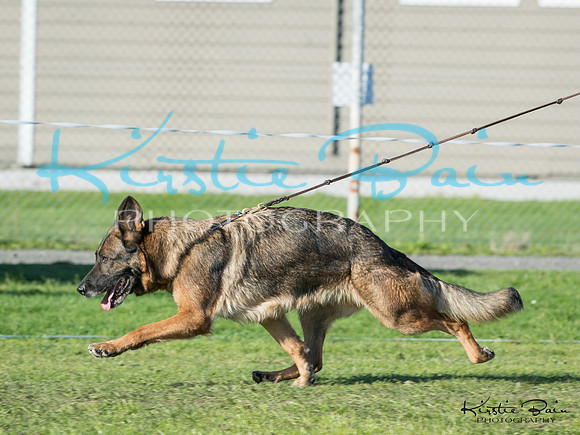 KBP10898